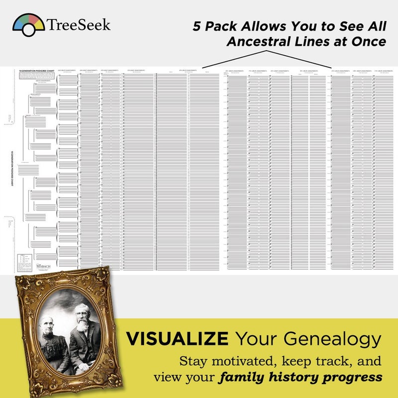 TreeSeekÂ® 15 Generation Pedigree Chart | 5 Pack | Blank Genealogy Forms for Family History and Ancestry Work - Image 2